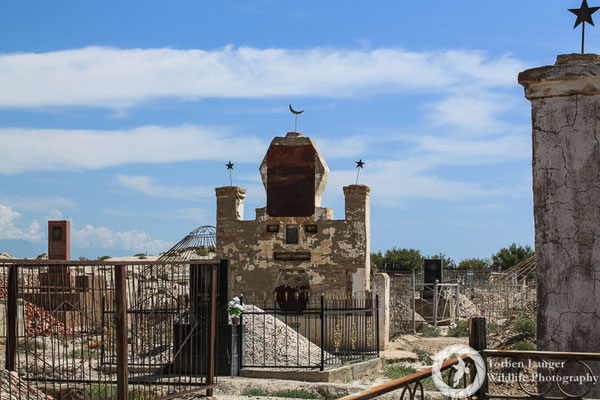 Old graveyard