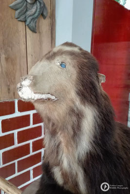 I'm not sure if that's art or a crime...