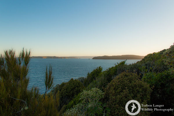 Stewart Island