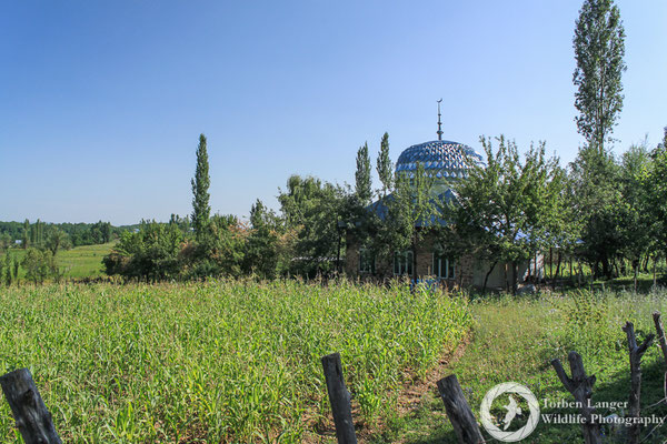 Landscape impressions around Arslanbob