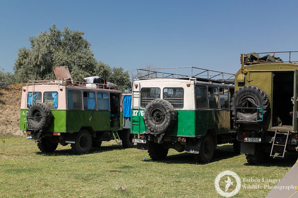 The trucks for the tour