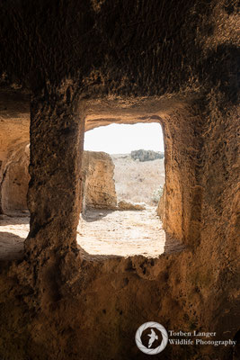 Tomb of the Kings