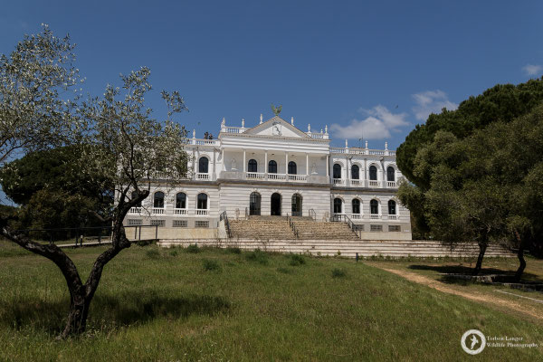 Palacio del Acebrón