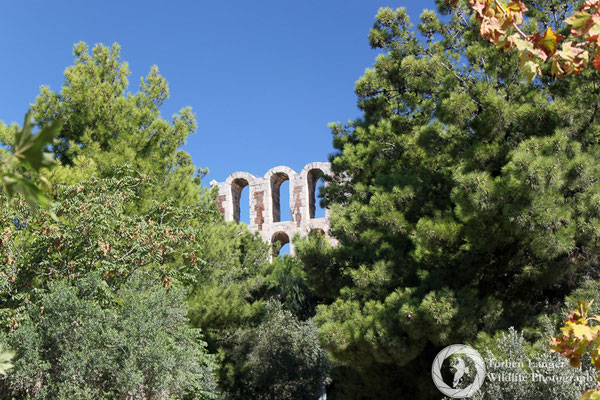 Athens