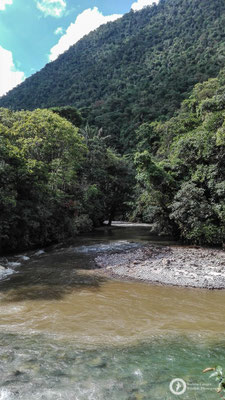 A lovely river in the forest