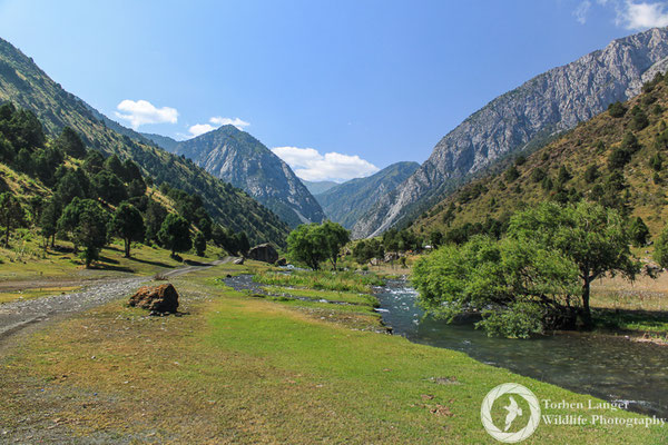Hiking in the mountains