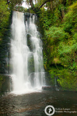 McLean Falls at Catlins Forest Park