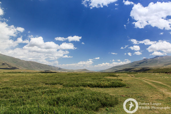 Green valley