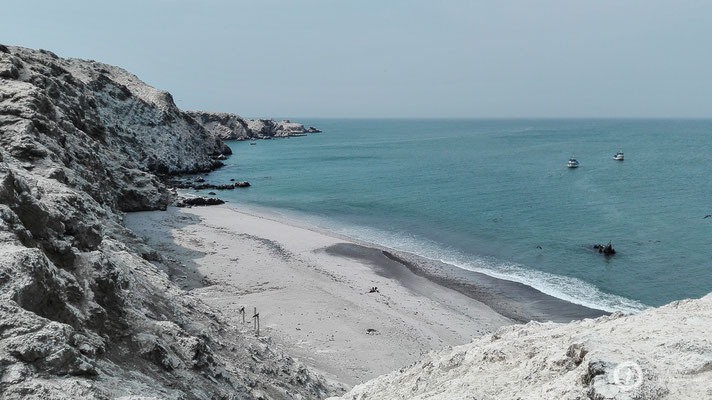 Isla Foca