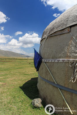 Yurt