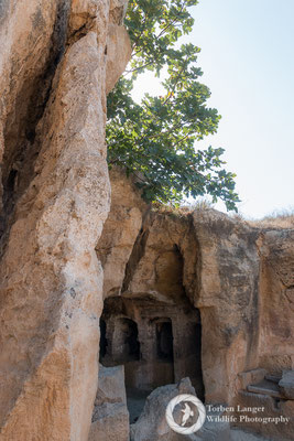 Tomb of the Kings