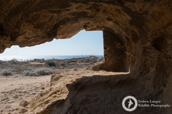 Tomb of the Kings