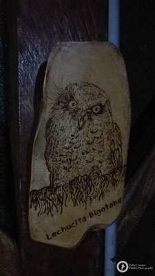 ... time to look out for a special little owl....