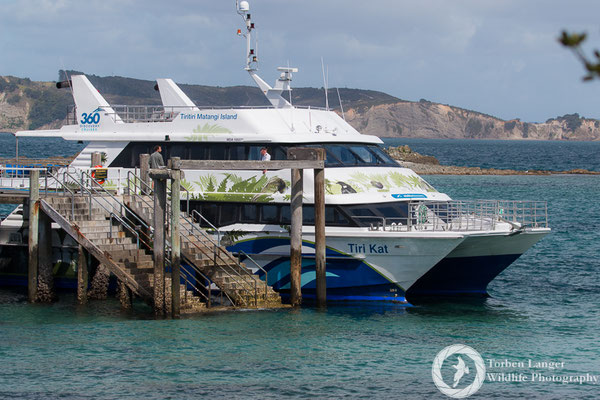 The ferry to Tiritiri Matangi