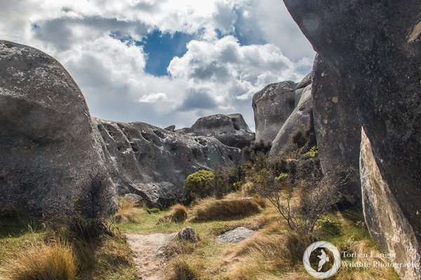 Castle Hill