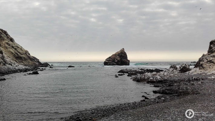 Isla Foca