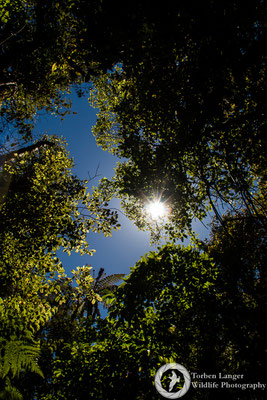 Stewart Island