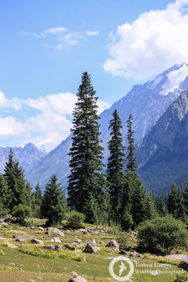 A sunny day in the valley