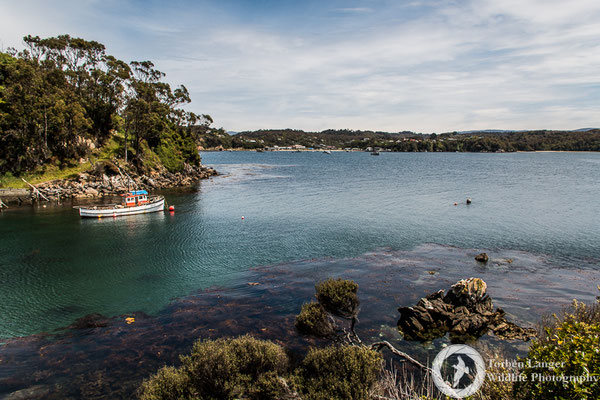 Stewart Island