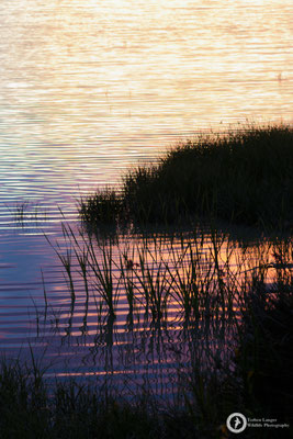 Evening impressions