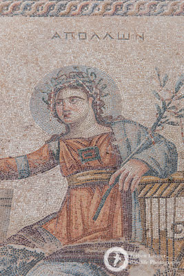 Paphos Mosaics