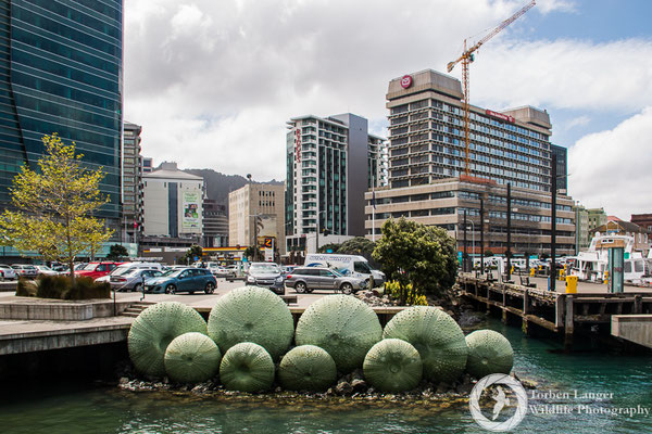 Wellington