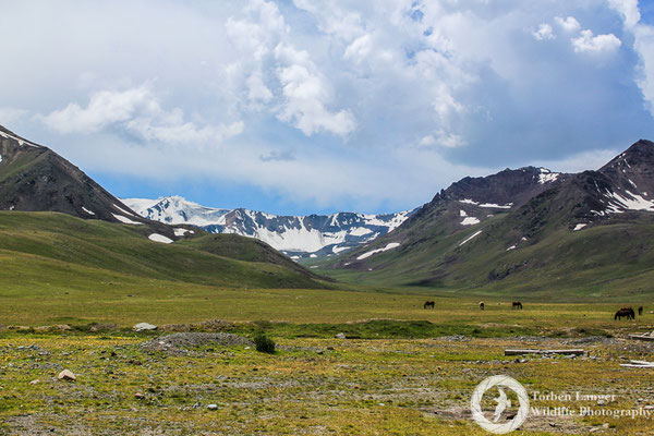 The mountains around Ala-Bel pass