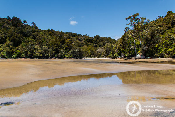 Rakiura Track on Stewart Island