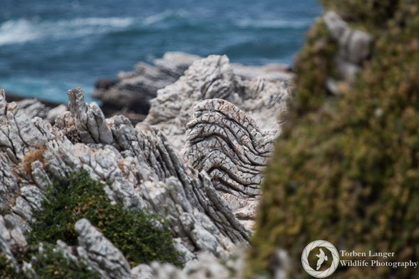 Kaikoura Peninsula