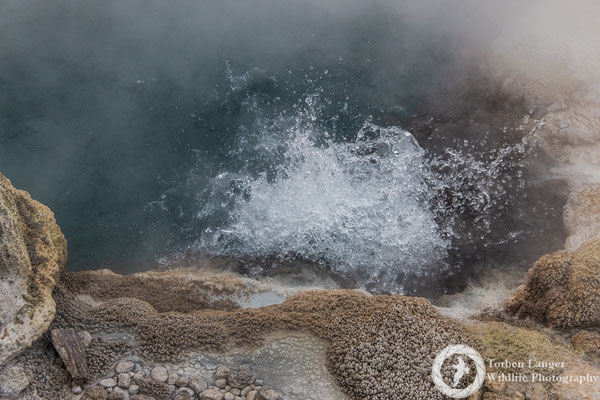 Thermal spring at Whakarewarewa Village in Rotorua