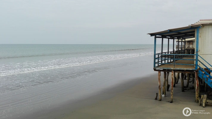The beach at Colán