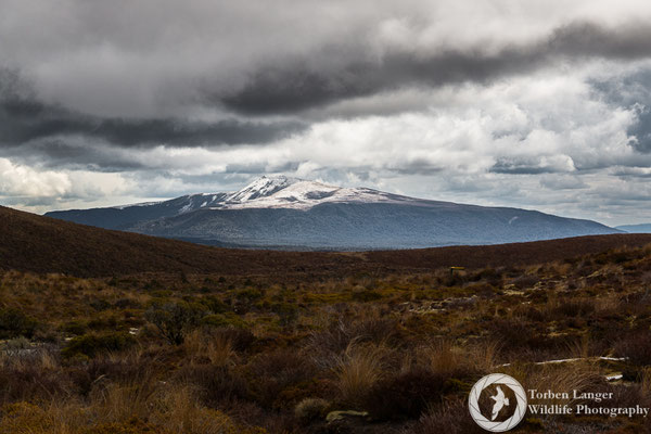 Mt. Ngauruhoe at Tongariro National Park