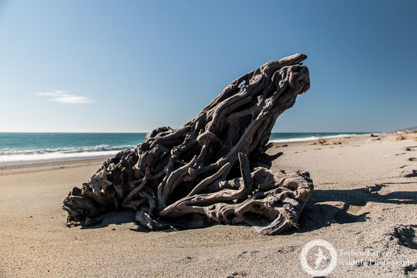 Haast Beach at the west coast
