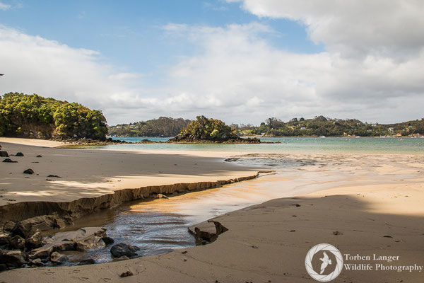 Stewart Island