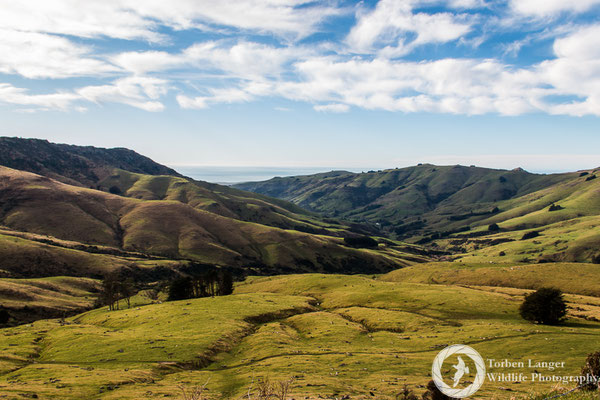 Banks Peninsula