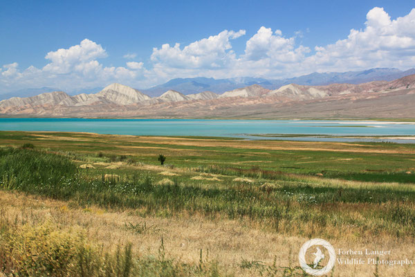 Toktogul reservoir