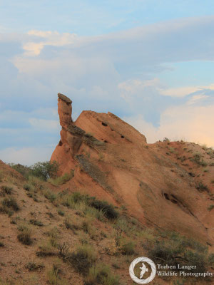 Formations