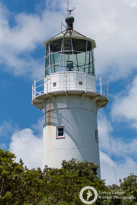 The lighthouse of Tiritiri Matangi