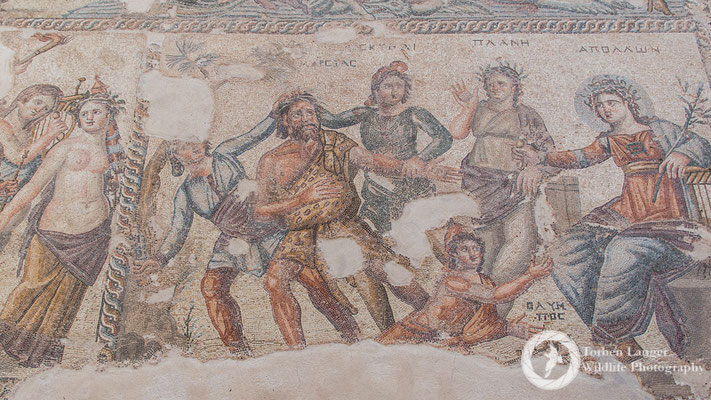 Paphos Mosaics