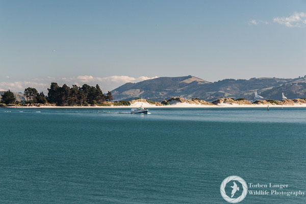 View from Otago Peninsula