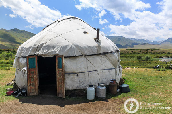 Yurt
