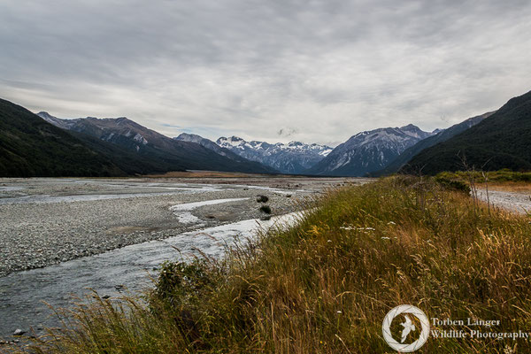 Arthur's Pass National Park