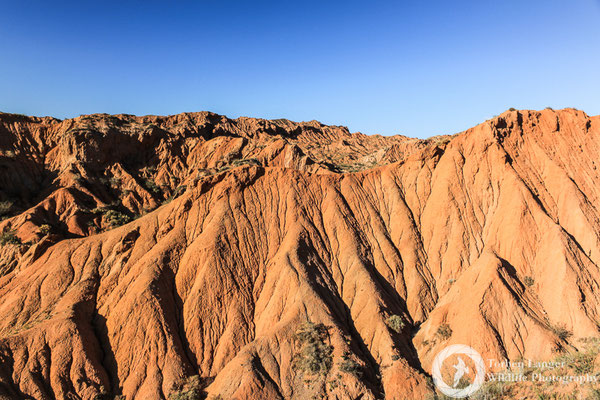 Badlands