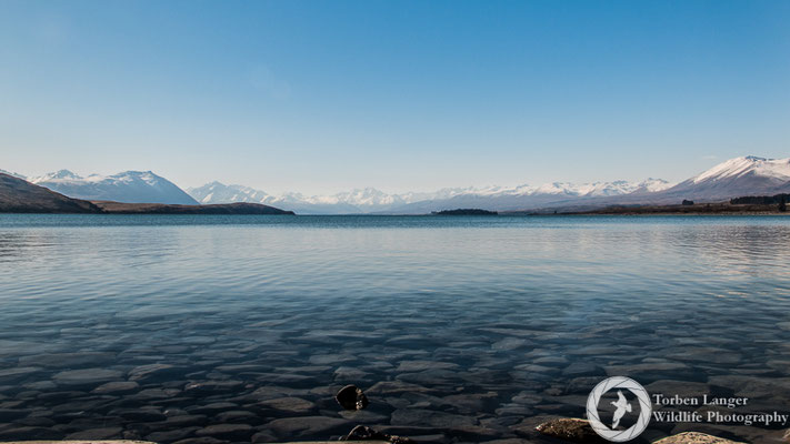 Lake Tekapo on a calm winter's day