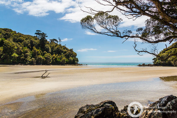 Rakiura Track on Stewart Island