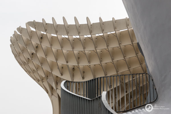 The Metropol Parasol in Sevilla