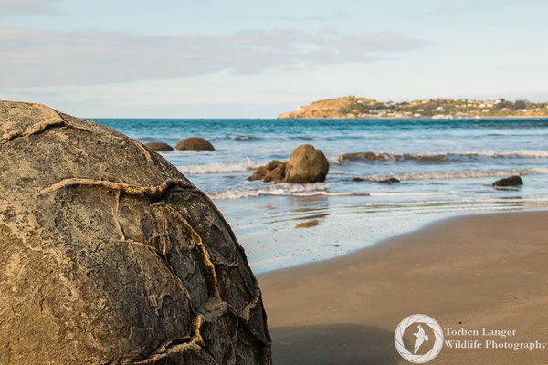 Moeraki Boulders