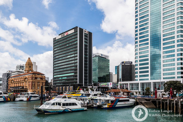 Auckland