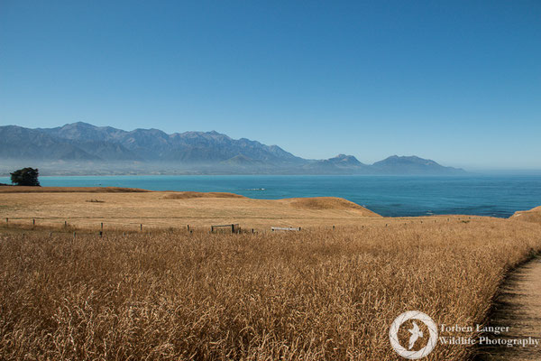 Kaikoura Peninsula