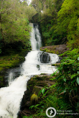 McLean Falls at Catlins Forest Park